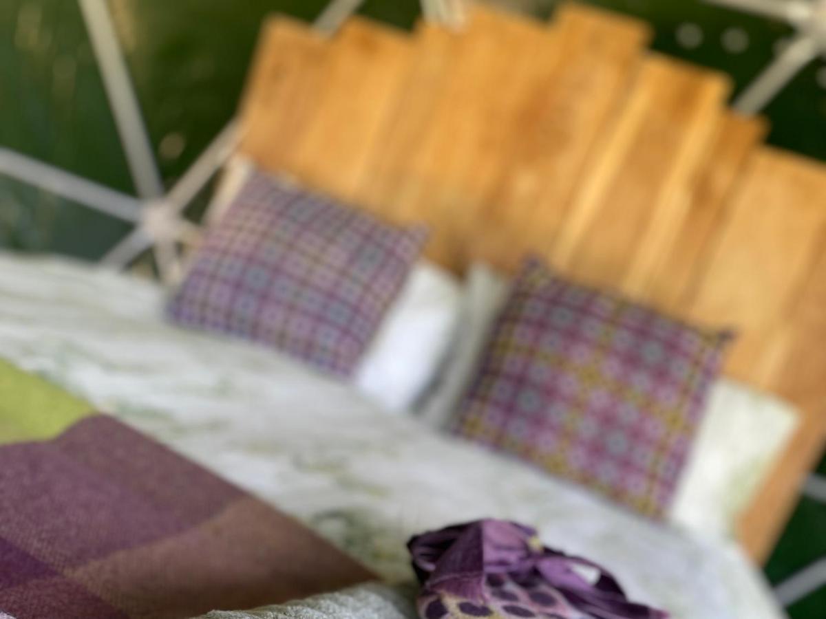 Geodesic Dome Glamping Hotel Ланидлойс Екстериор снимка