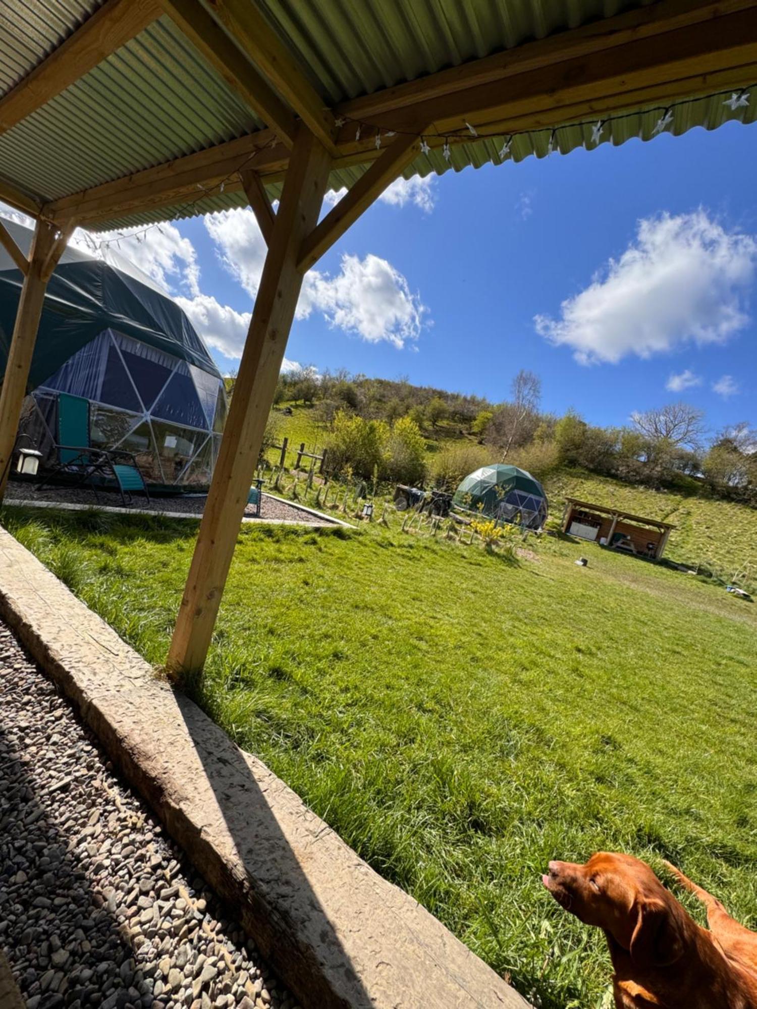 Geodesic Dome Glamping Hotel Ланидлойс Екстериор снимка